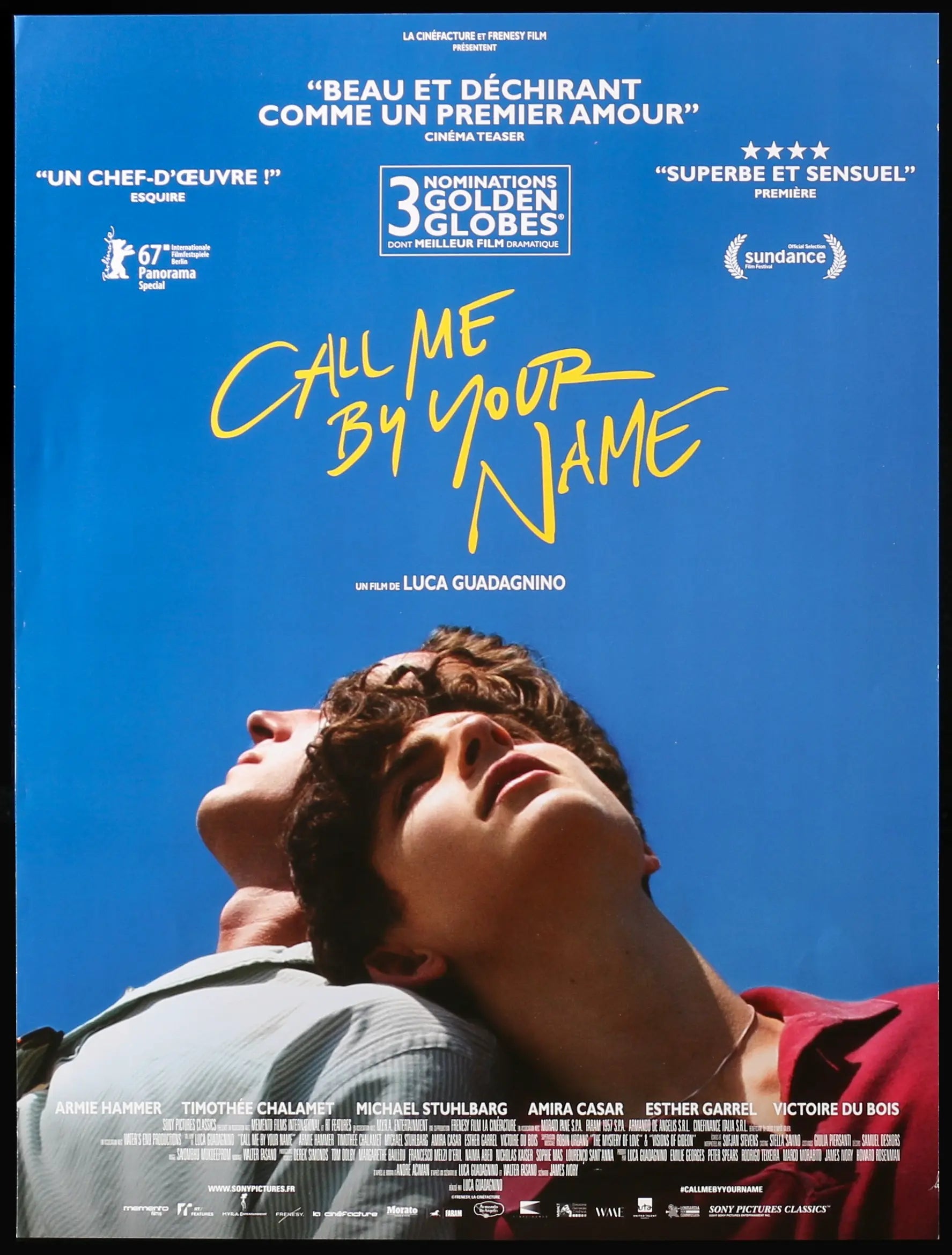 Call Me By Your Name (2017) original movie poster for sale at Originalfilmart