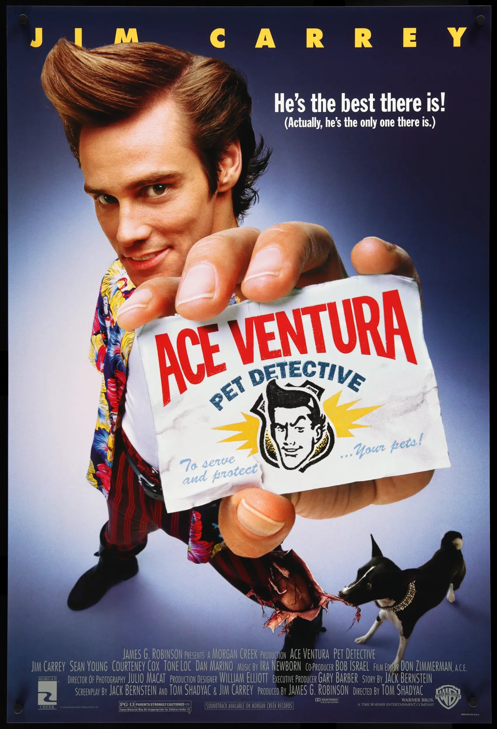 Ace Ventura: Pet Detective (1994) original movie poster for sale at Originalfilmart