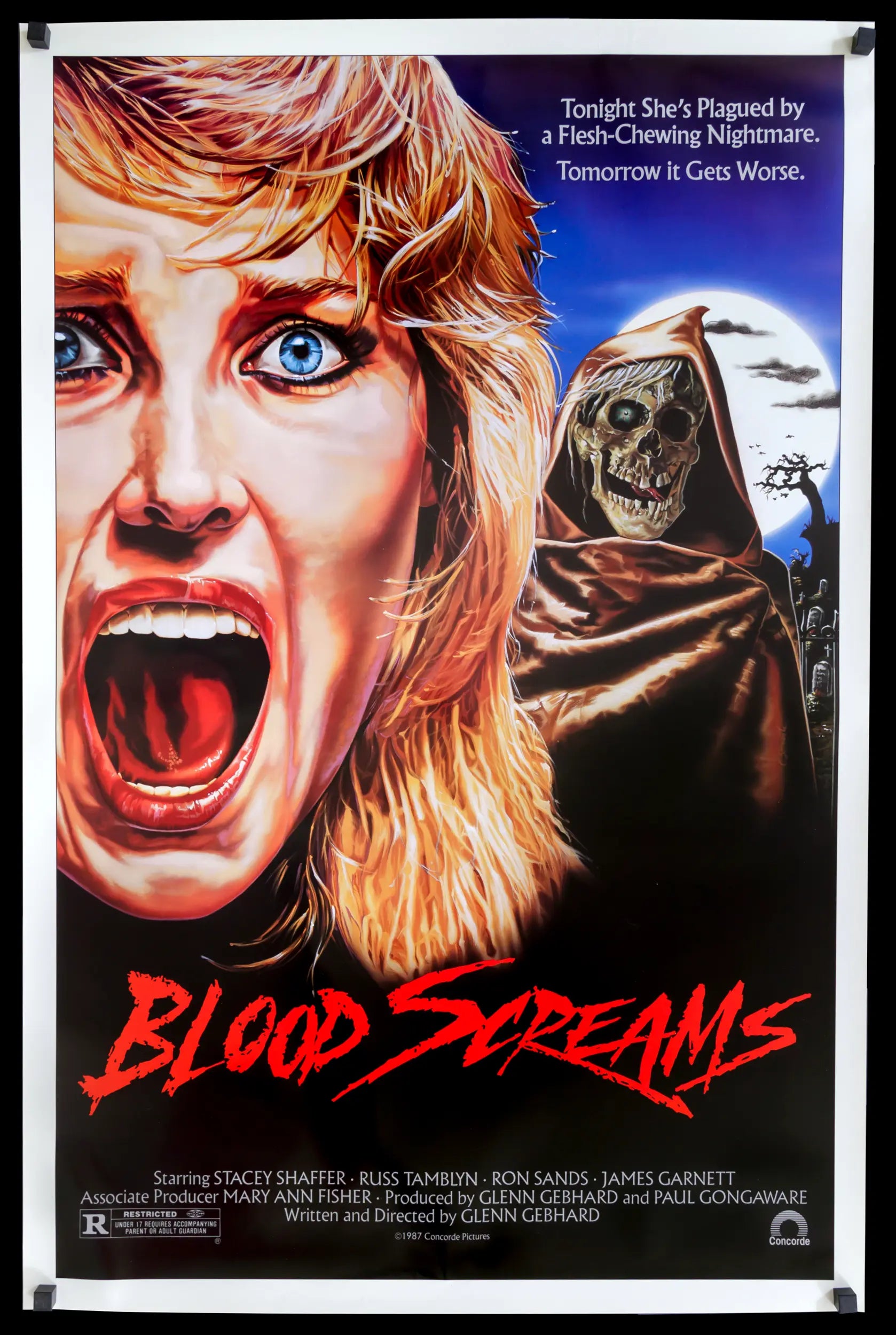 Blood Screams (1988) original movie poster for sale at Originalfilmart
