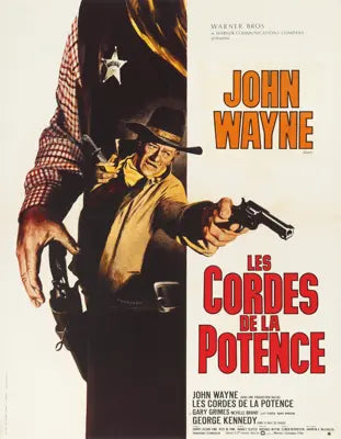 Cahill - United States Marshal (1973) original movie poster for sale at Originalfilmart