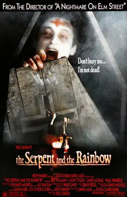 Serpent and the Rainbow (1988) original movie poster for sale at Originalfilmart