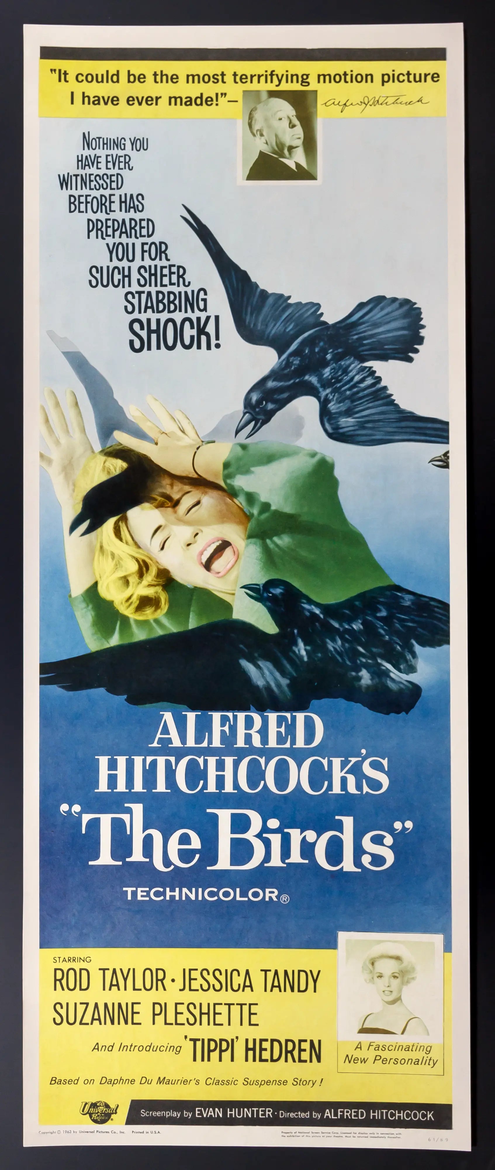 Birds (1963) original movie poster for sale at Originalfilmart