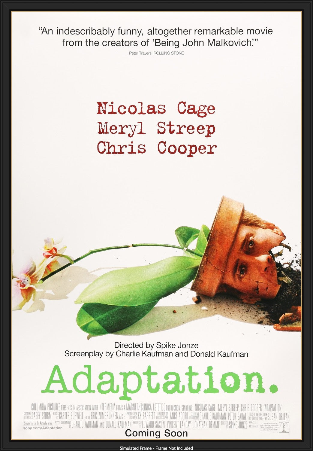 Adaptation (2002) original movie poster for sale at Originalfilmart