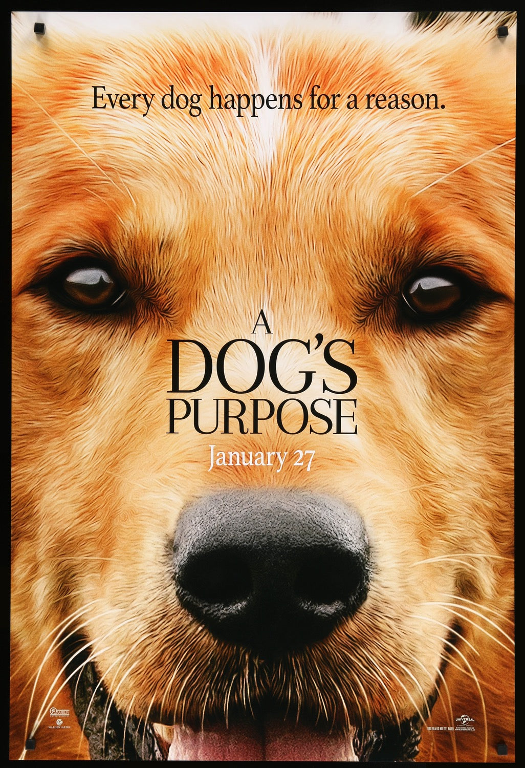 Dog's Purpose (2017) original movie poster for sale at Originalfilmart