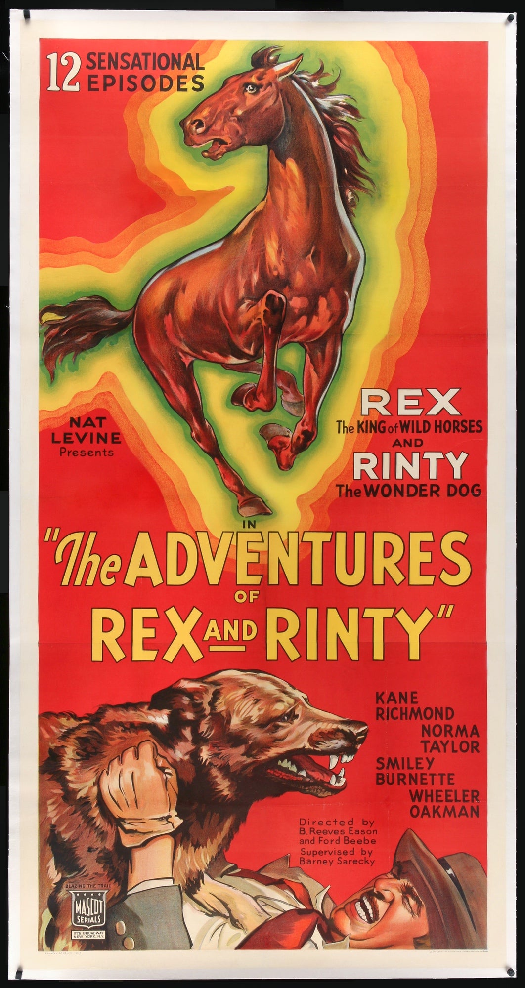 Adventures of Rex and Rinty (1935) original movie poster for sale at Originalfilmart