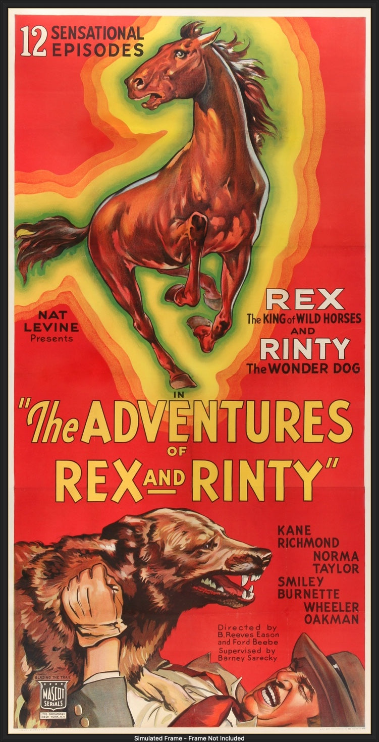 Adventures of Rex and Rinty (1935) original movie poster for sale at Originalfilmart