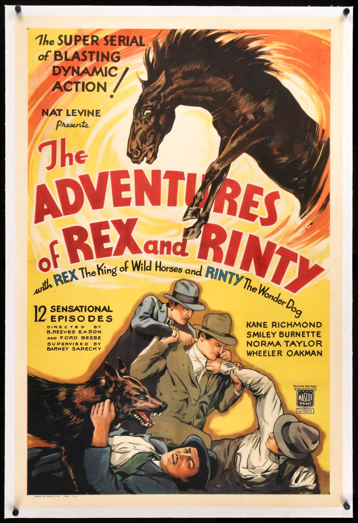 Adventures of Rex and Rinty (1935) original movie poster for sale at Originalfilmart