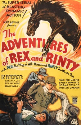 Adventures of Rex and Rinty (1935) original movie poster for sale at Originalfilmart