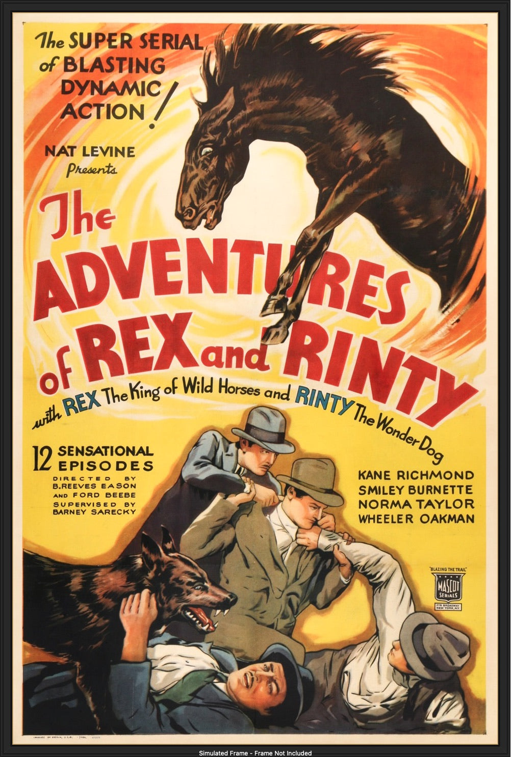 Adventures of Rex and Rinty (1935) original movie poster for sale at Originalfilmart