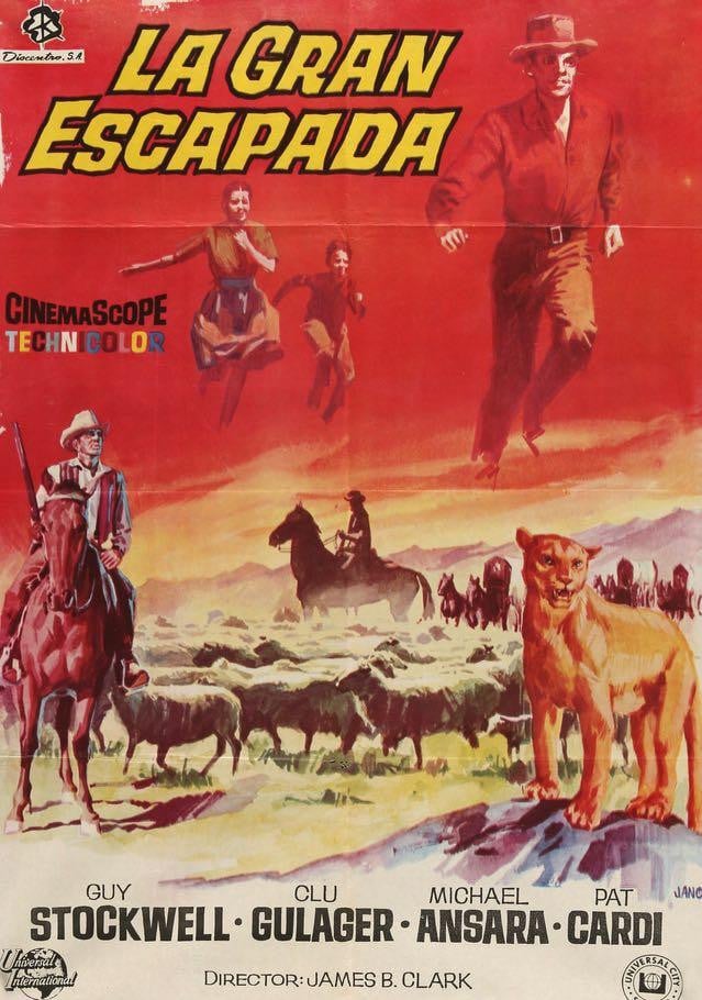 And Now Miguel (1966) original movie poster for sale at Originalfilmart