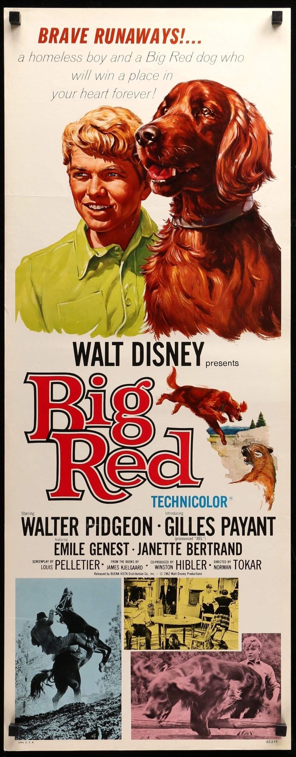 Big Red (1962) original movie poster for sale at Originalfilmart