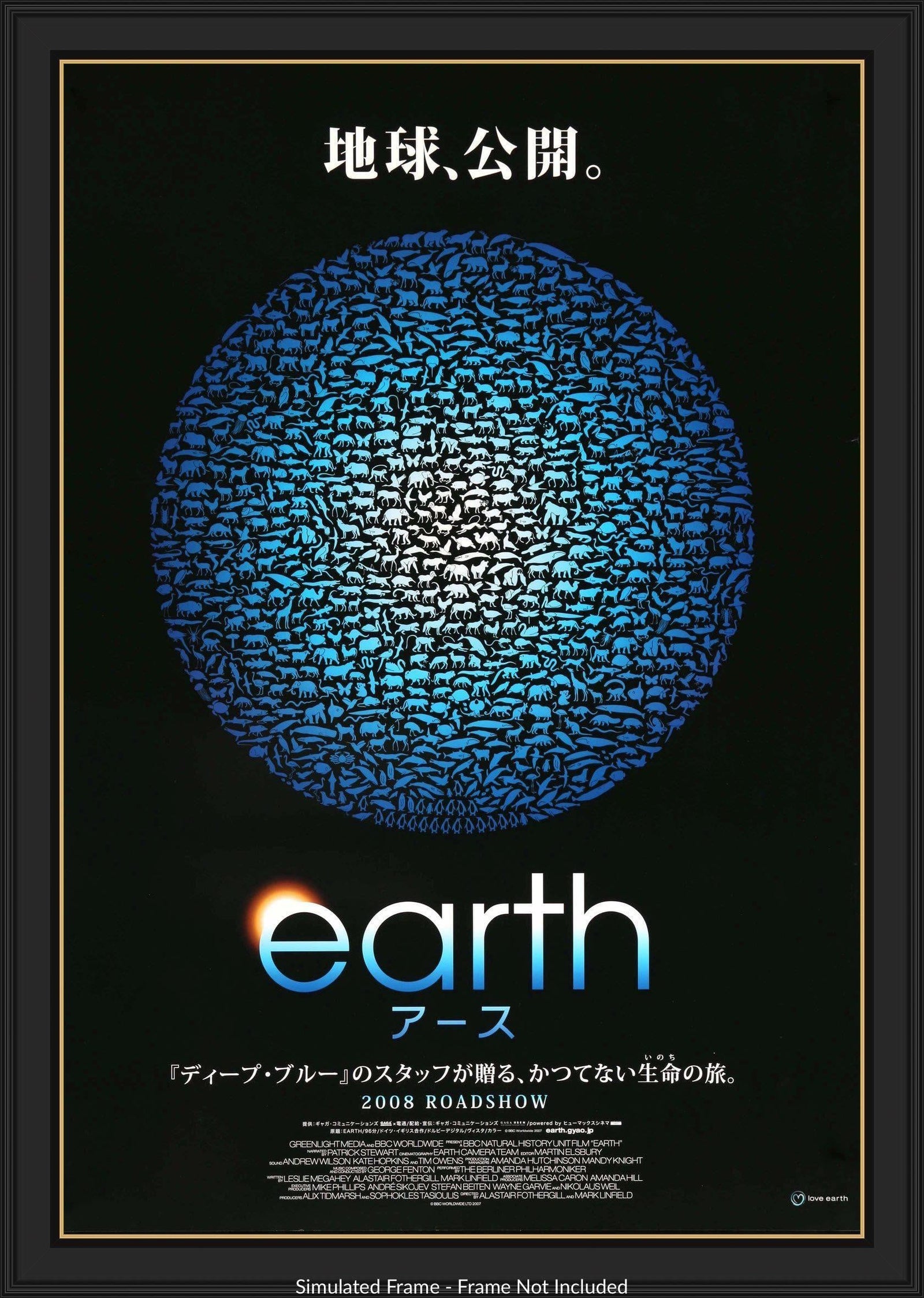 Earth (2007) original movie poster for sale at Originalfilmart