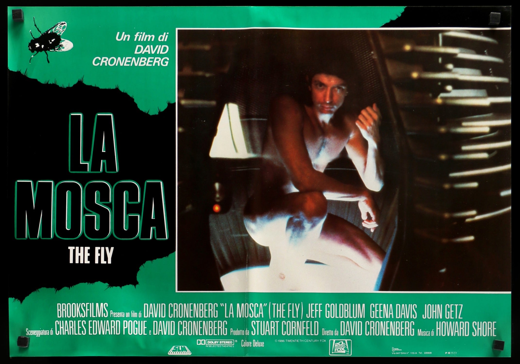 Fly (1986) original movie poster for sale at Originalfilmart