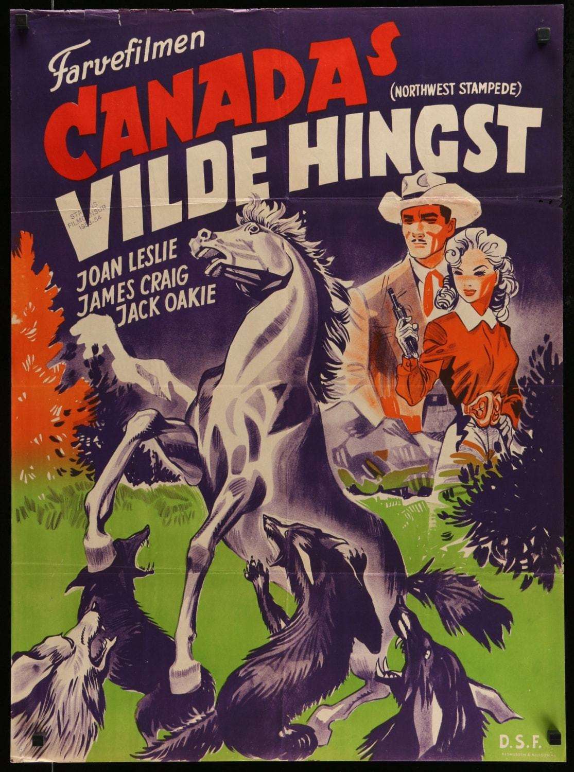 Northwest Stampede (1948) original movie poster for sale at Originalfilmart