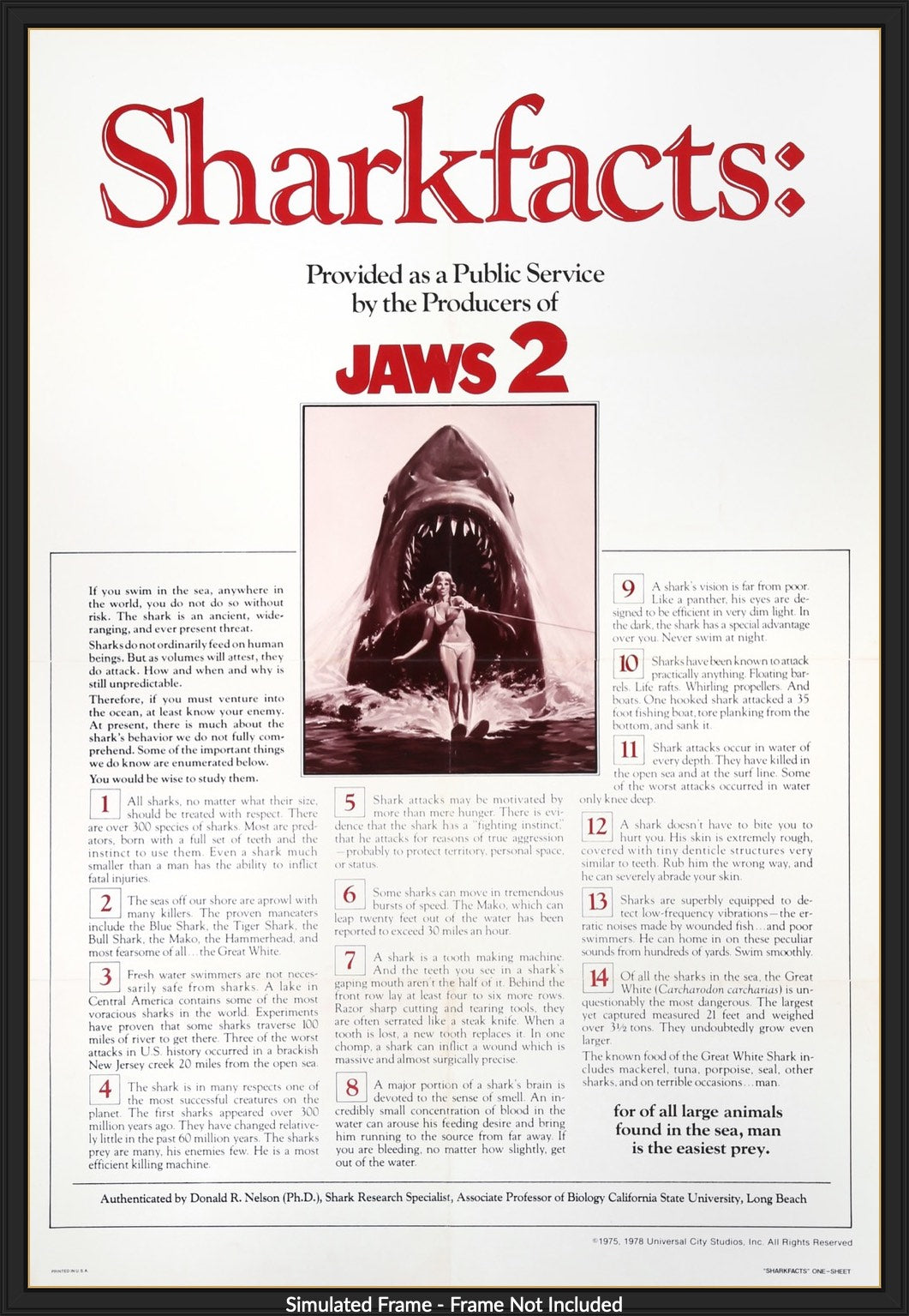 Jaws 2 (1978) original movie poster for sale at Originalfilmart