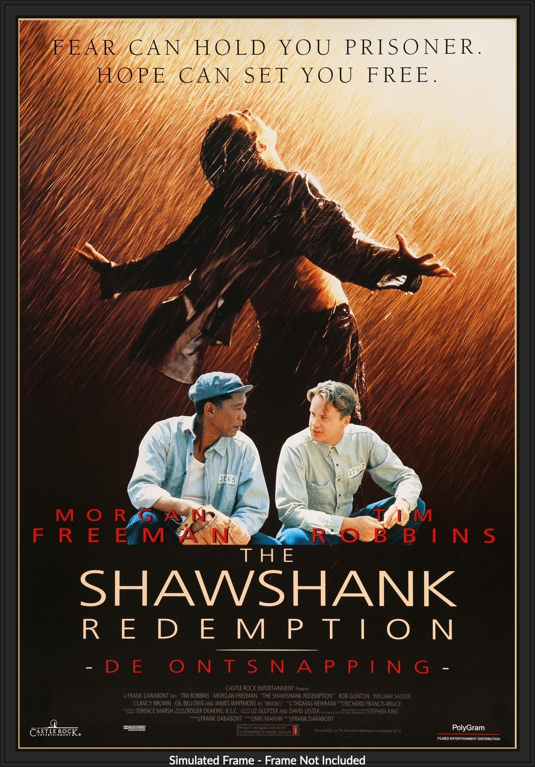 Shawshank Redemption (1994) original movie poster for sale at Originalfilmart