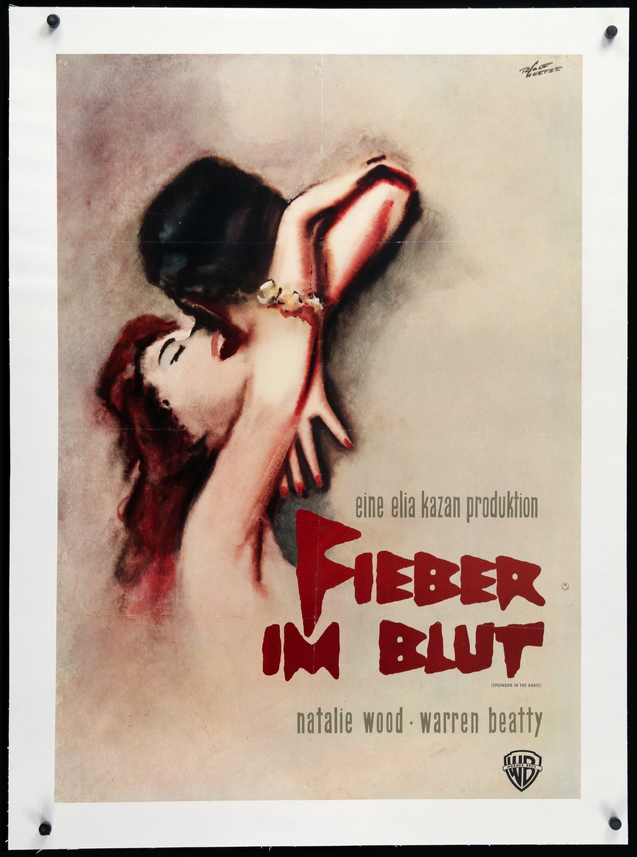 Splendor in the Grass (1961) original movie poster for sale at Originalfilmart