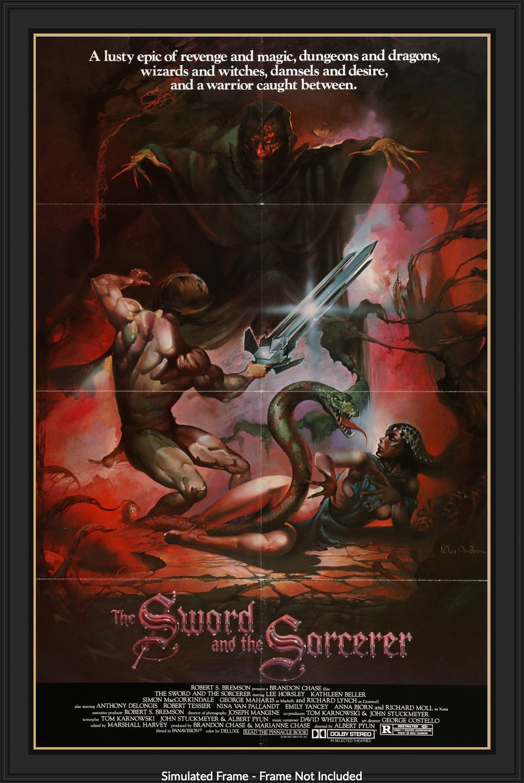 Sword and the Sorcerer (1982) original movie poster for sale at Originalfilmart